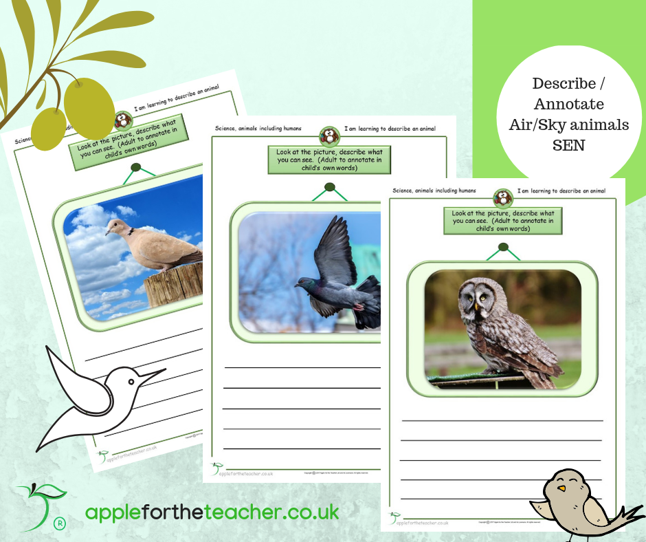 describe annotate air sky animals